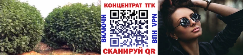 KRAKEN как зайти  Шимановск  ТГК Wax 